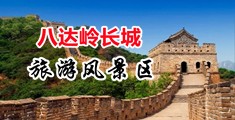看片粉逼中国北京-八达岭长城旅游风景区