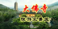 很很操逼美女中国浙江-新昌大佛寺旅游风景区